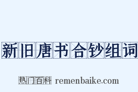 新旧唐书合钞组词是什么意思的图片